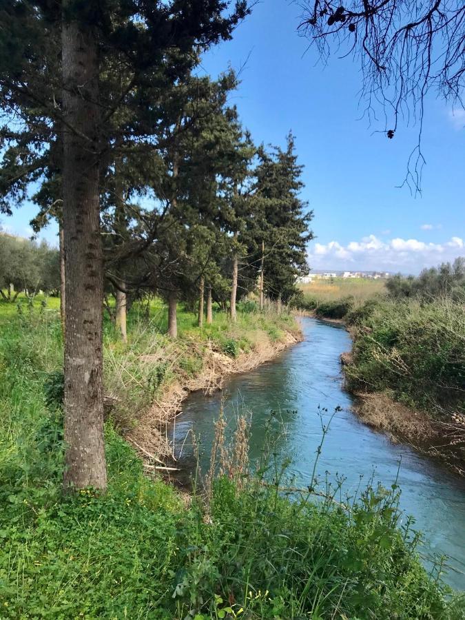 الشقق الفندقية جورجيوبوليسفي  فارديس أوليف جاردن المظهر الخارجي الصورة